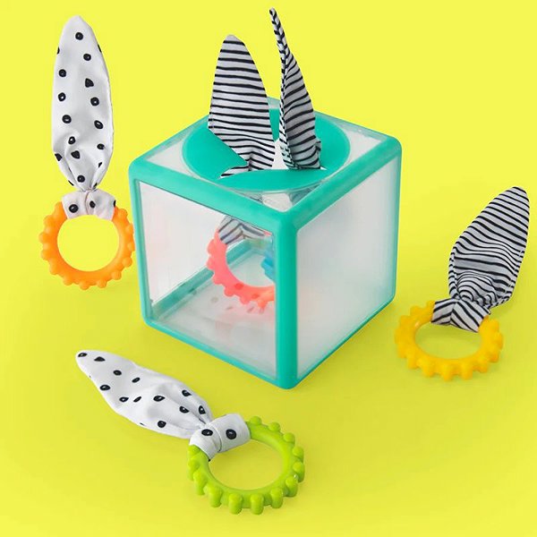 Sassy Ring Drop Cube shape sorter.