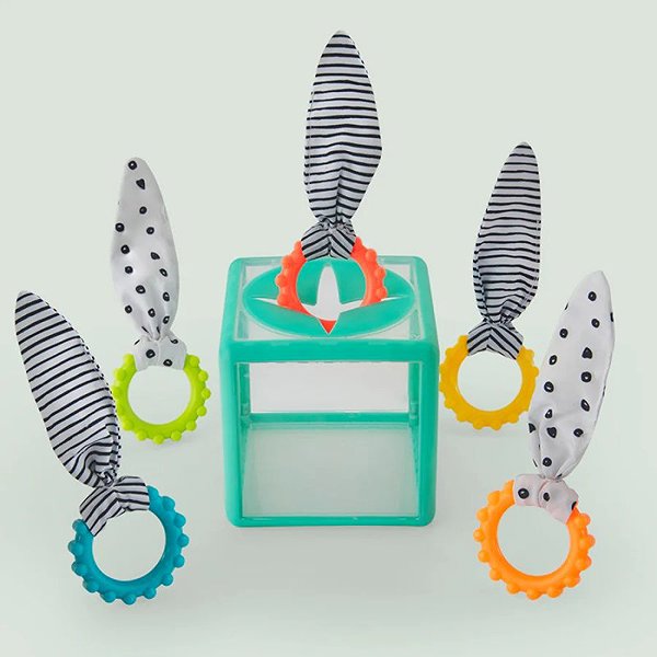 Sassy Ring Drop Cube shape sorter.