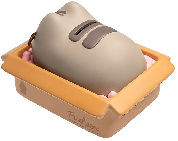 Pusheen money box: Cat in box - money box.