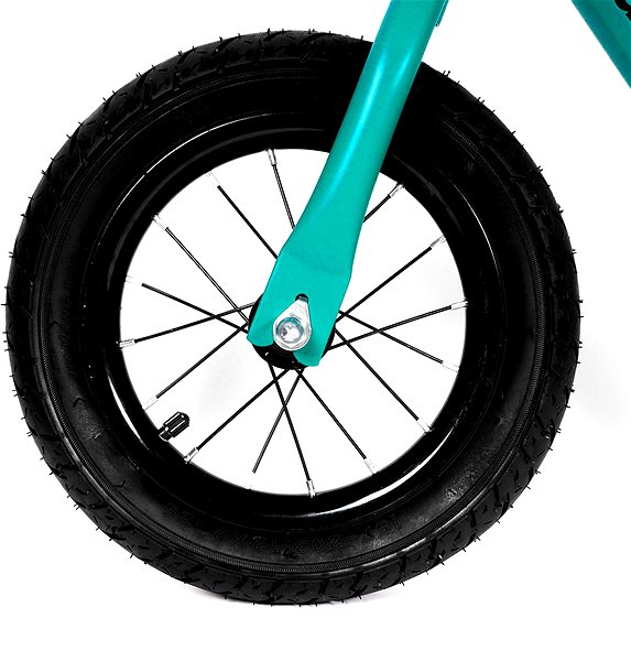 Aga Children's scooter DS2902 green .