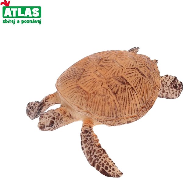 Figure Atlas Turtle Screen