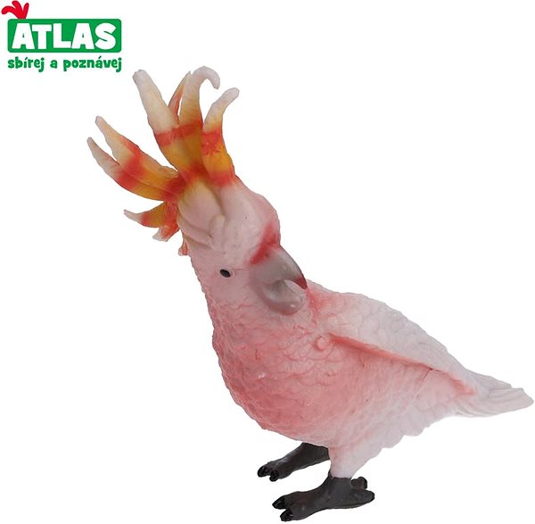 Figure Atlas Parrot Screen