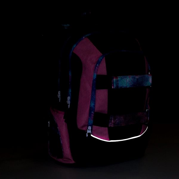School backpack BAGMASTER FLICK 22 A student backpack - pink .