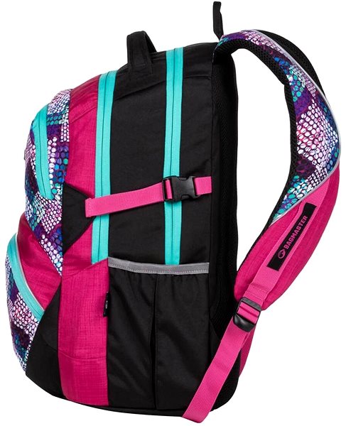 School Backpack Bagmaster School backpack Theory 20A ...