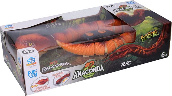 RC-Modell Wiky RC Anakonda - 70 cm Verpackung/Box