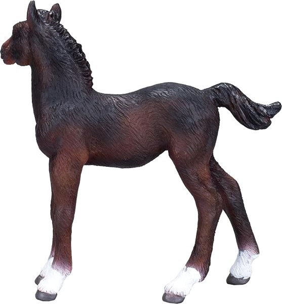 Figure Mojo - Hanoverian Horse - Brown Foal Lateral view