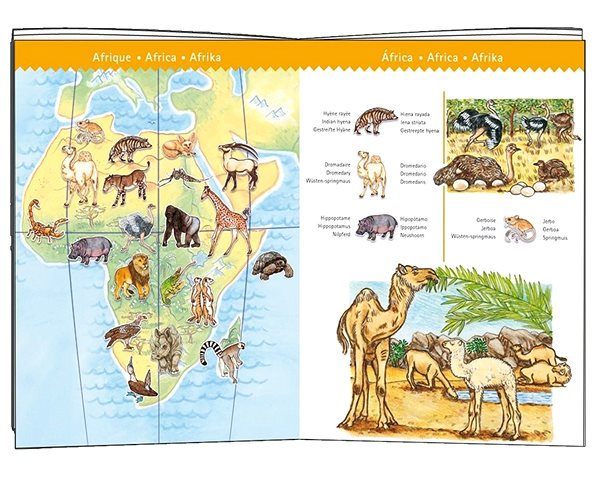 Puzzle Djeco Obrázkové puzzle Svetové zvieratá ...