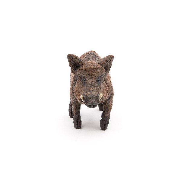 Figure PAPO Wild boar ...