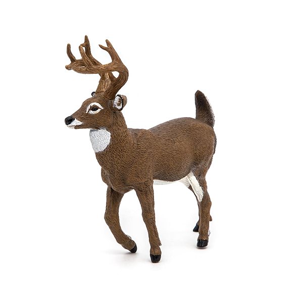 Figure PAPO White-tailed deer ...
