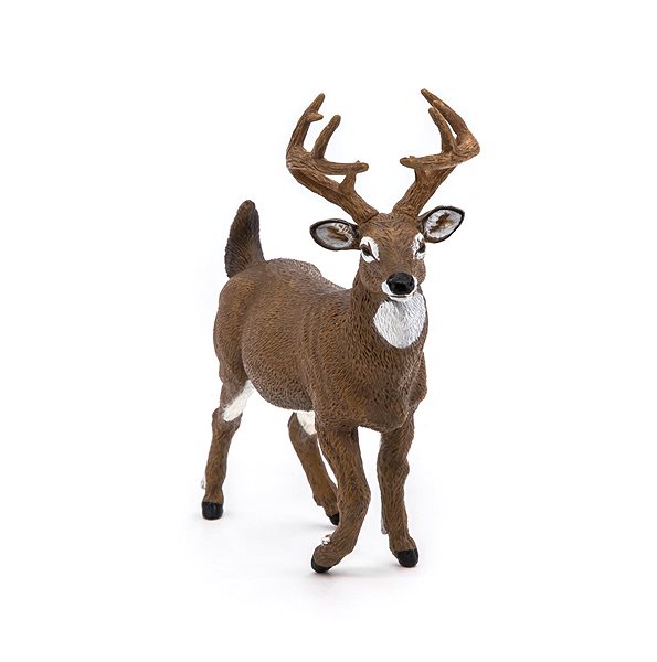 Figure PAPO White-tailed deer ...