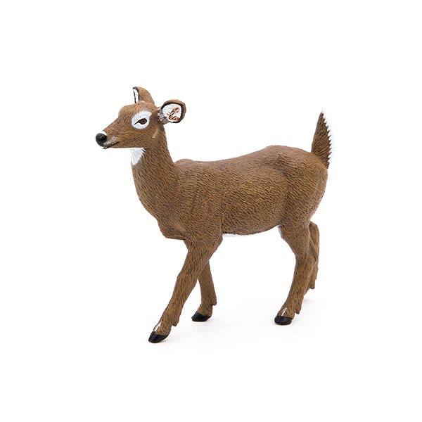 Figure PAPO White-tailed deer ...