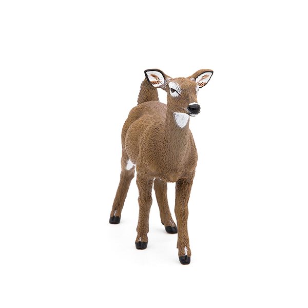 Figure PAPO White-tailed deer ...