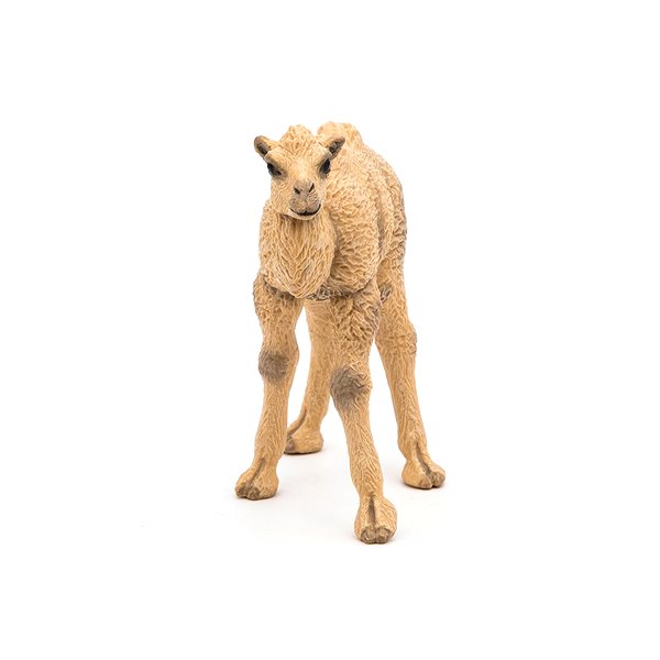 Figure PAPO Camel cub ...