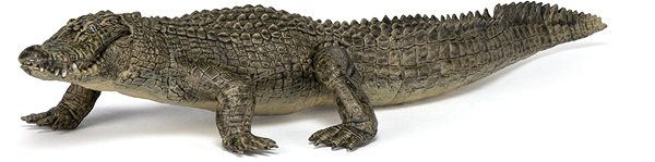 Figure PAPO Alligator ...