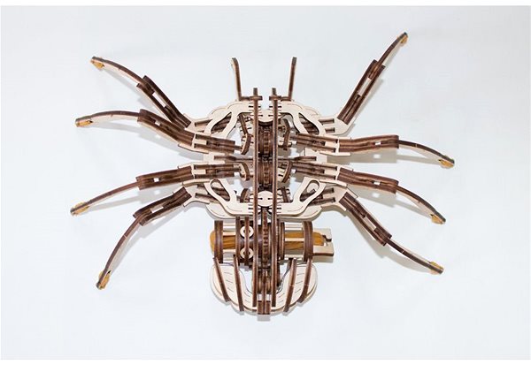 3D Puzzle Ewa Eco-Wood-Art Spider Screen