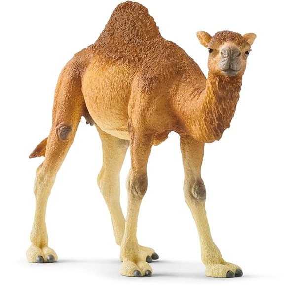 Figure Schleich 14832 Dromedary Lateral view