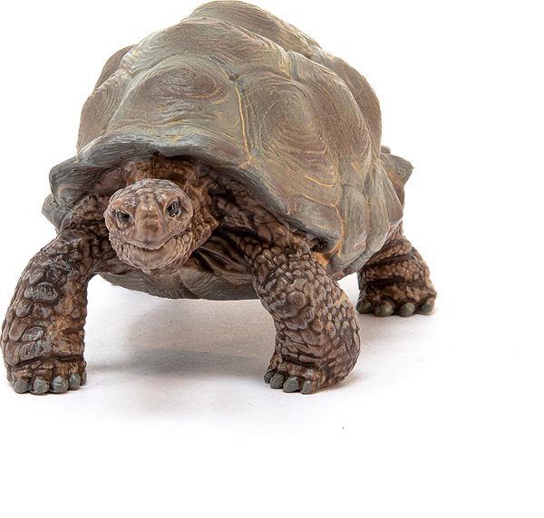 Figure Schleich 14824 Giant Tortoise ...
