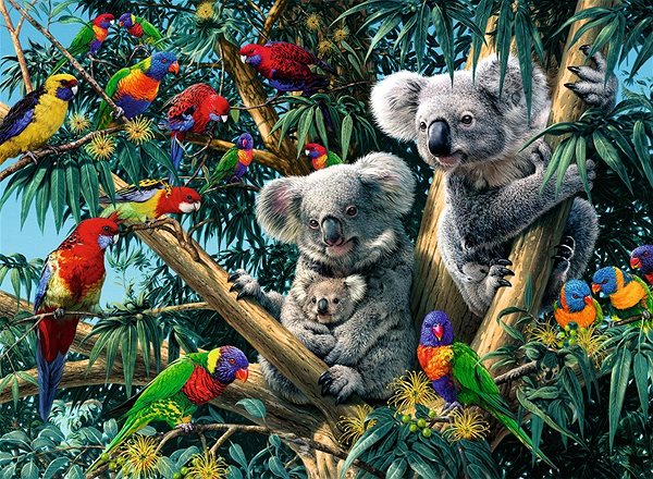 Puzzle Ravensburger 148264 Koalas im Baum ...