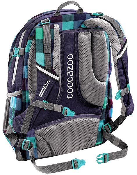 School Backpack Coocazoo JobJobber2 Green Purple District Back page