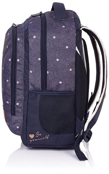 School Backpack Head HD-33 ...