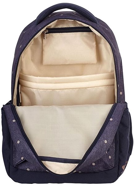 School Backpack Head HD-33 ...