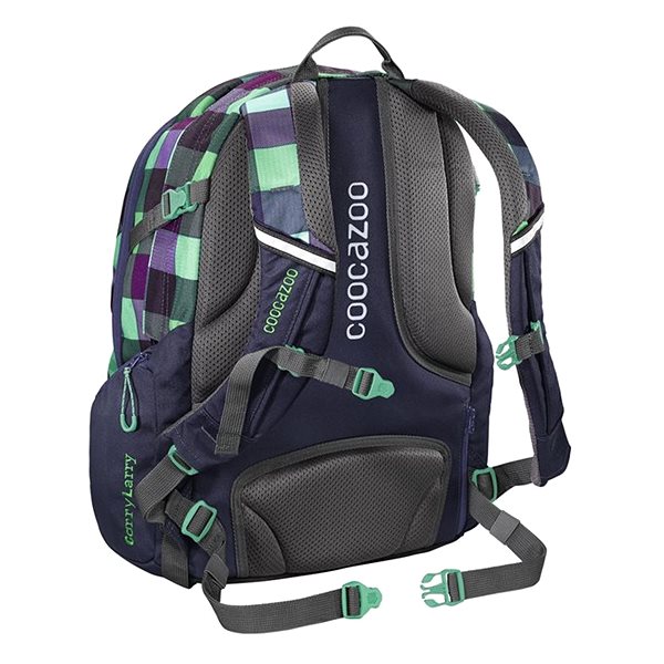 School Backpack Coocazoo CarryLarry2 Green Purple District Back page