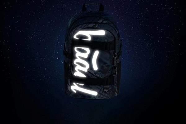 BAAGL school backpack Skate Structures school backpack