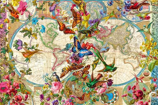 Puzzle Ravensburger 171170 Motýlia mapa sveta 3000 dielikov ...