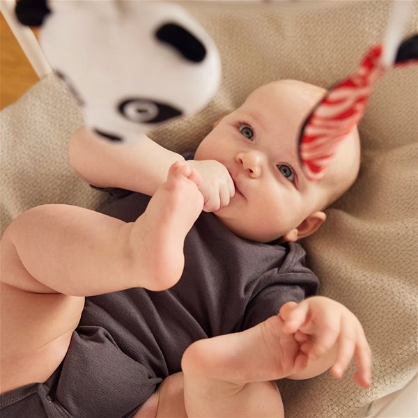 Baby-Mobile Canpol babies Sensory-Plüschkarussell mit Melodien/Bluetooth BabiesBoo ...