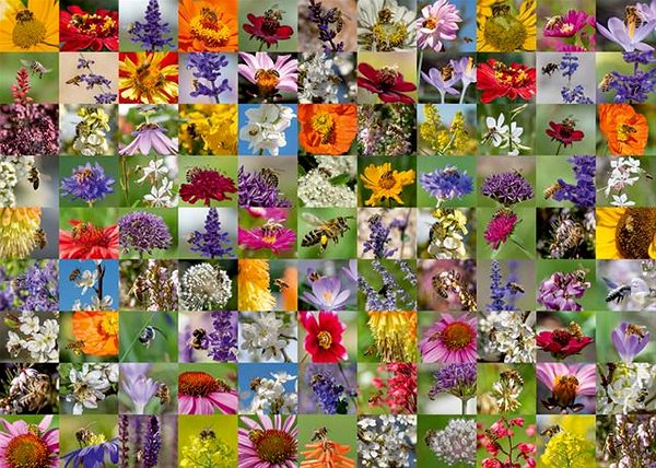 Puzzle Ravensburger Puzzle 173860 Bienen auf Blumen - 1000 Teile ...