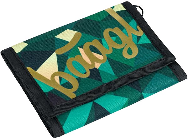 Wallet BAAGL Wallet Polygon .