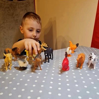 Figures Kruzzel 24854 Set of farm animals 12 pcs ...
