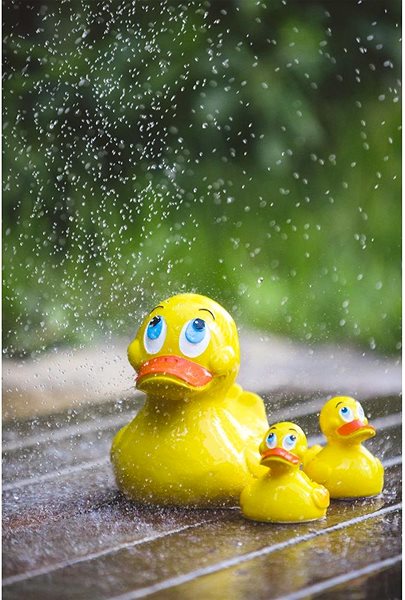 Water toy Lanco Duck pink .