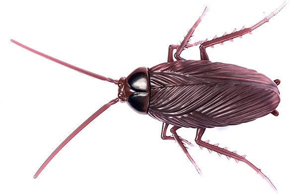 Figure Mac Toys Magana Vibrating Cockroach ...