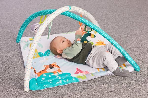Fillikid Safari play mat.