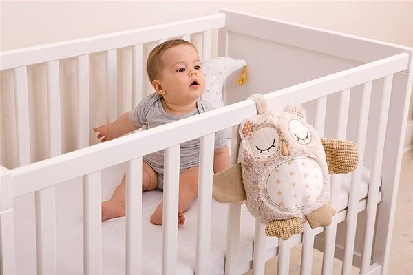 Cloud b Nighty Night Owl Smart Sensor Owl .