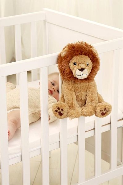 Cloud b Louis The Lion Lion .