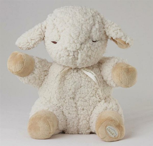 Cloud b Sleep Sheep Sleeping Sheep .