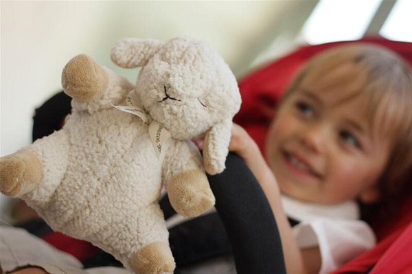 Cloud b Sleep Sheep On The Go Sleep Sheep .