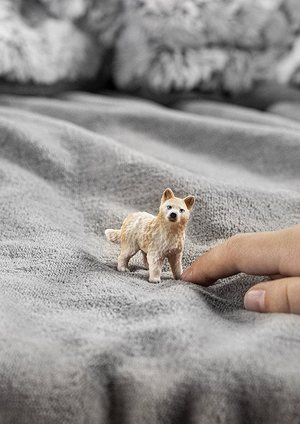 Figure Schleich Arctic Wolf Cub 14881 ...