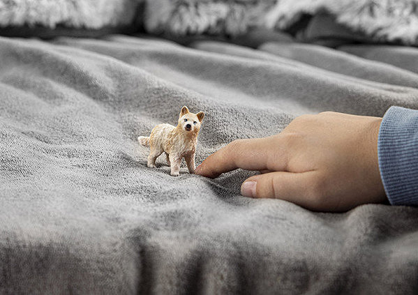 Figure Schleich Arctic Wolf Cub 14881 ...