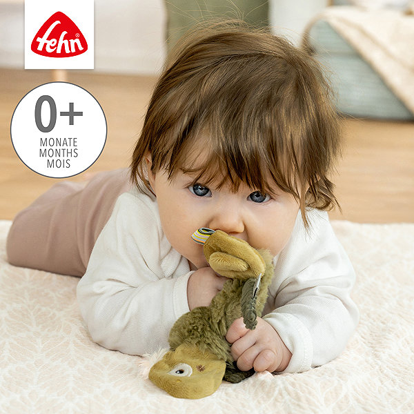 Rattle Baby Fehn Chameleon Crazy .