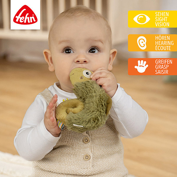 Rattle Baby Fehn Soft Ring Chameleon Crazy .