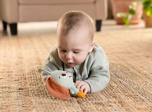 Tiny Love Garden of Adventures Rabbit Stroller Toy .