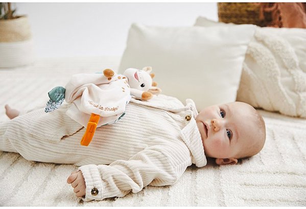 Vulli pet giraffe Sophie .