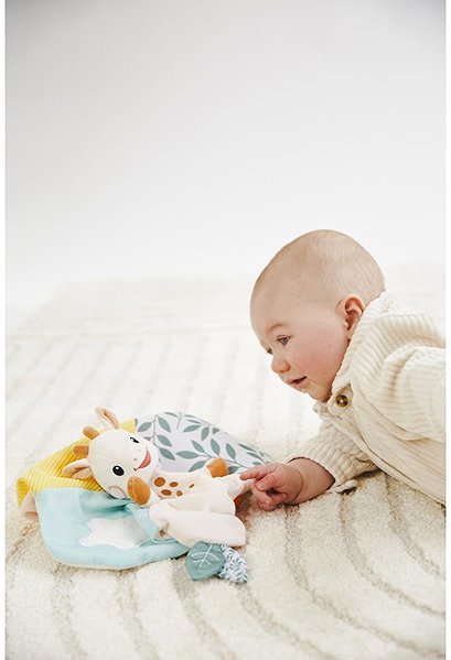 Vulli pet giraffe Sophie .