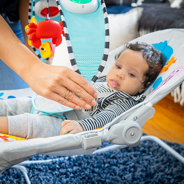 Baby Rocker Baby Einstein Kick to It Opus ...