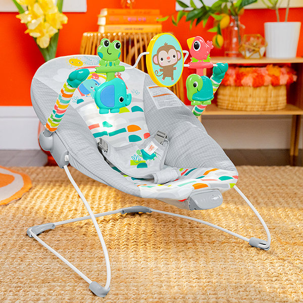 Baby Rocker Bright Starts Paradise rocking ...