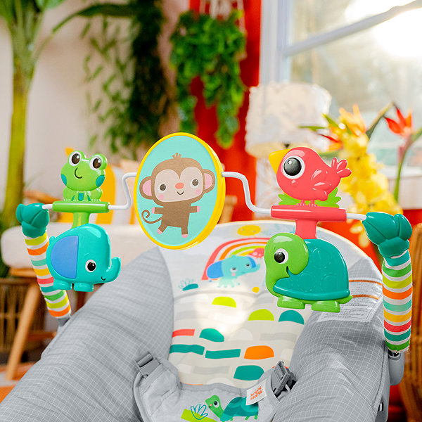 Baby Rocker Bright Starts Paradise rocking ...