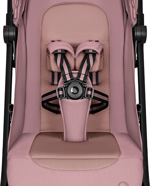 Baby Buggy Lionelo Sia Pink Rose ...